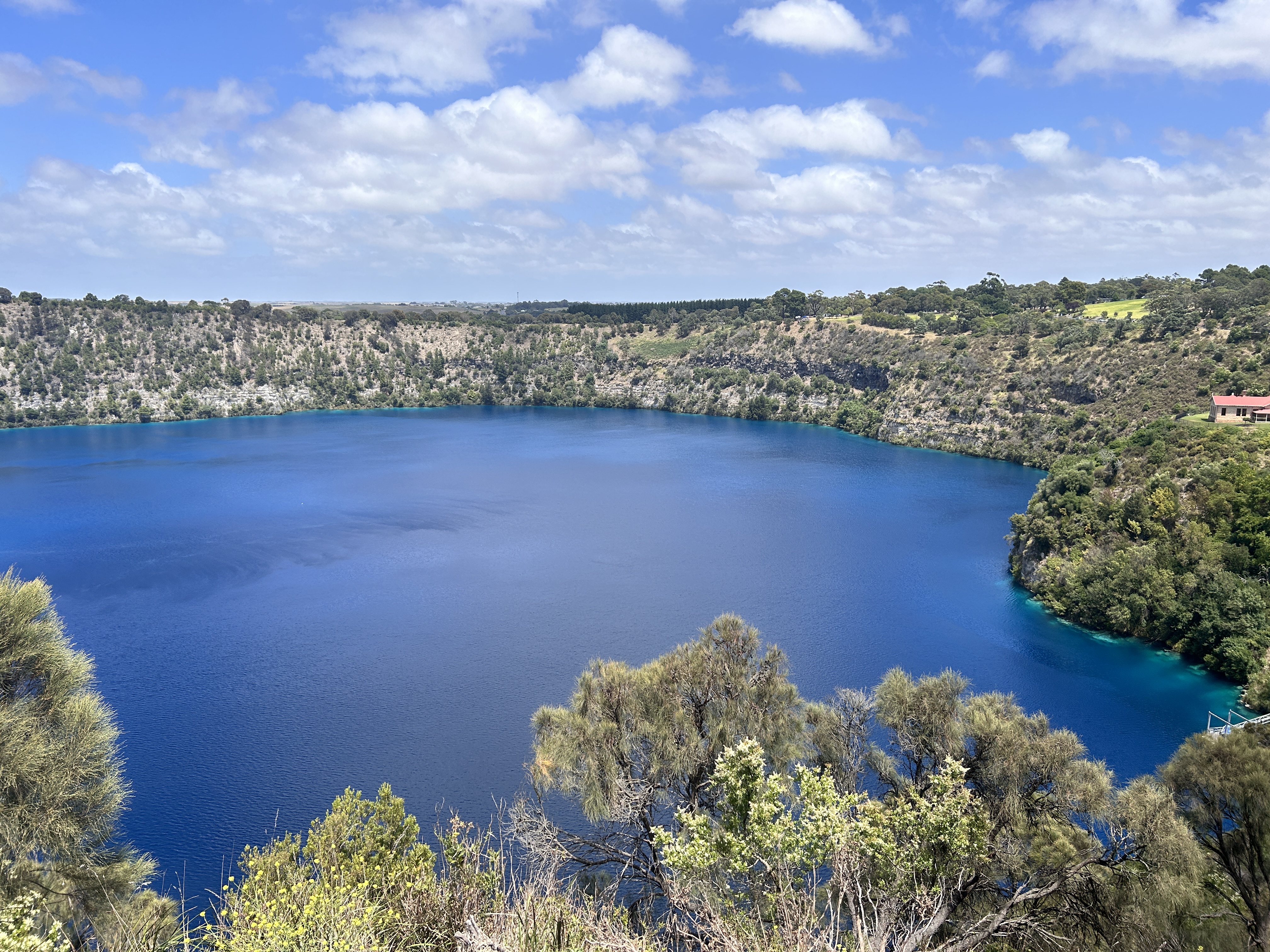 The iconic Blue Lake in Mount Gambier, South Australia, featuring its distinct deep blue water nestled within a volcanic crater rim. The lake is surrounded by lush green trees and rocky cliffs under a clear blue sky with scattered white clouds. A small building with a red roof is visible on the right bank.