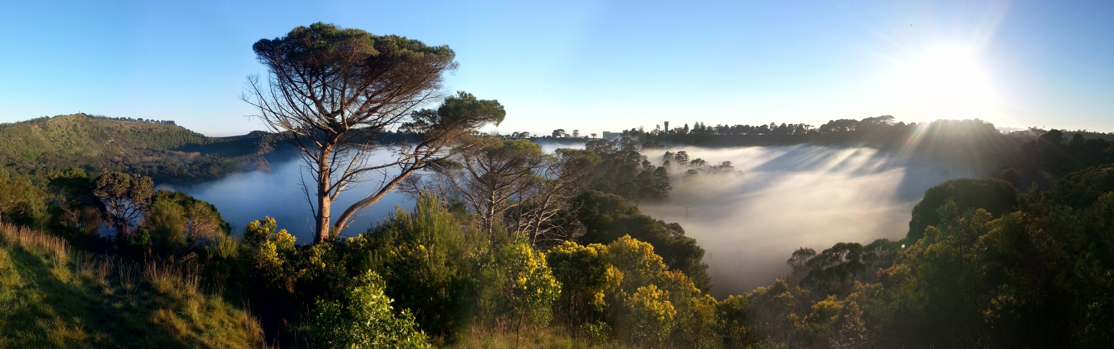 Panoramic view of the Blue Lake crater in Mount Gambier, South Australia, shrouded in thick morning fog. Tall trees frame the scene as golden sunlight pierces through the mist, casting dramatic light rays across the serene landscape. The clear blue sky above enhances the ethereal beauty of this peaceful natural vista.