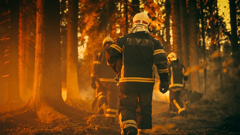 Firemen fighting a bushfire